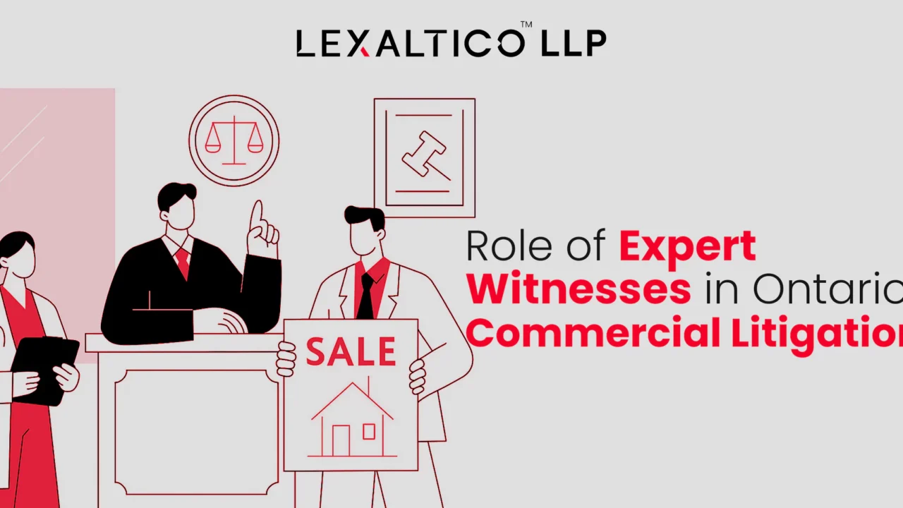Role of Expert Witnesses in Ontario Commercial Litigation