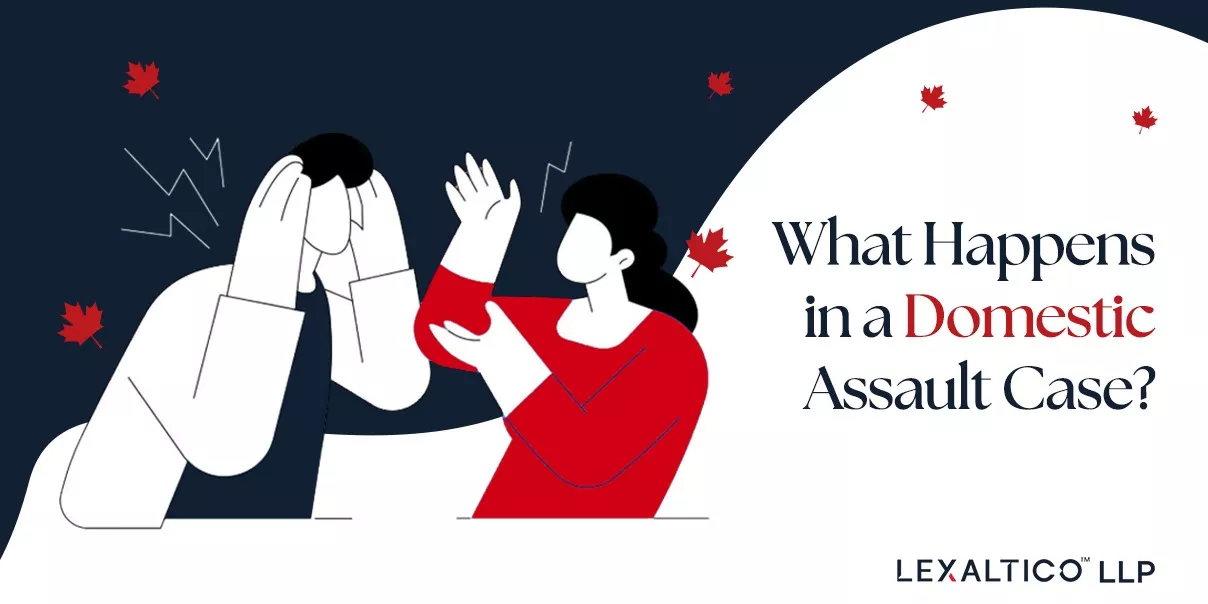 What Happens in a Domestic Assault Case?
